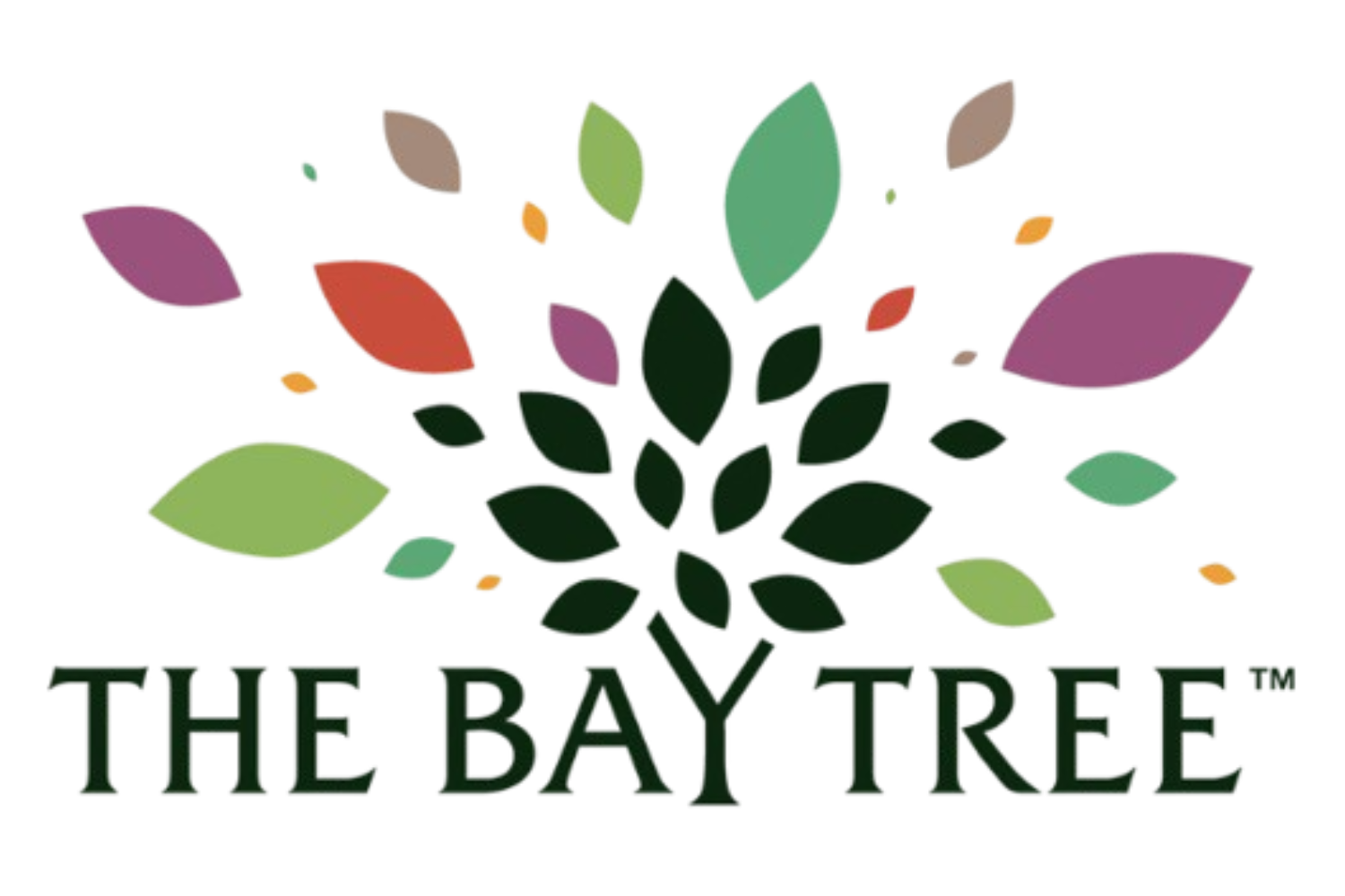 Bay tree - transparent logo - 1500 x 1000