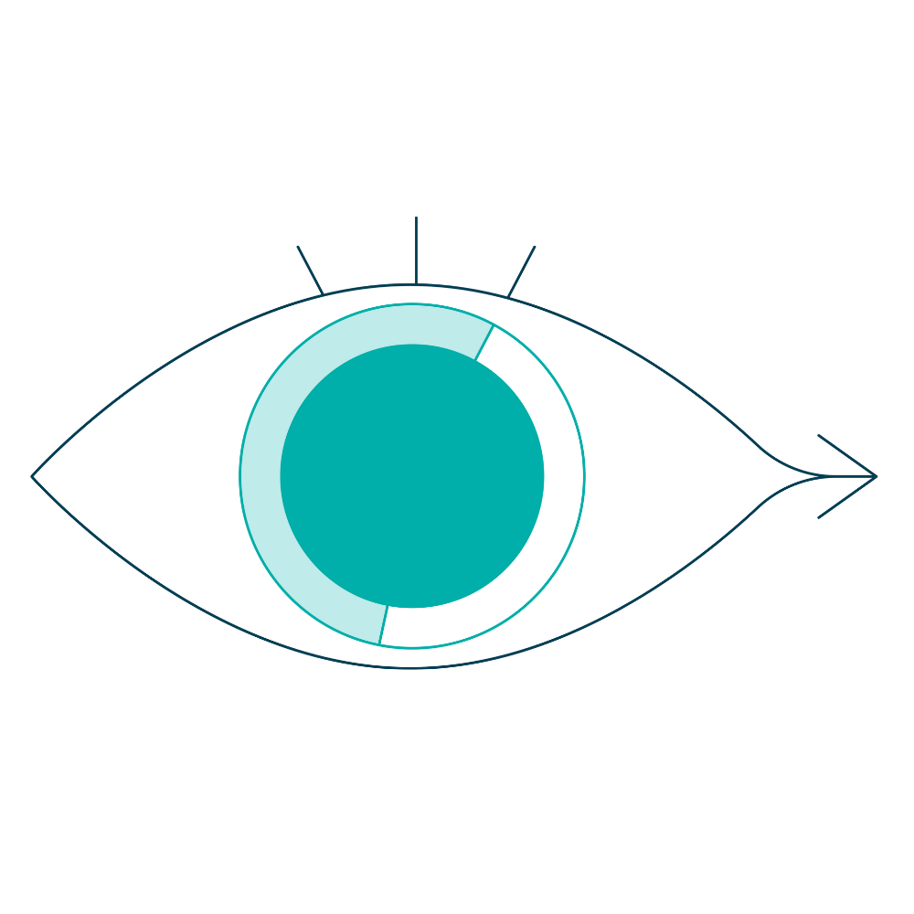 Eye icon