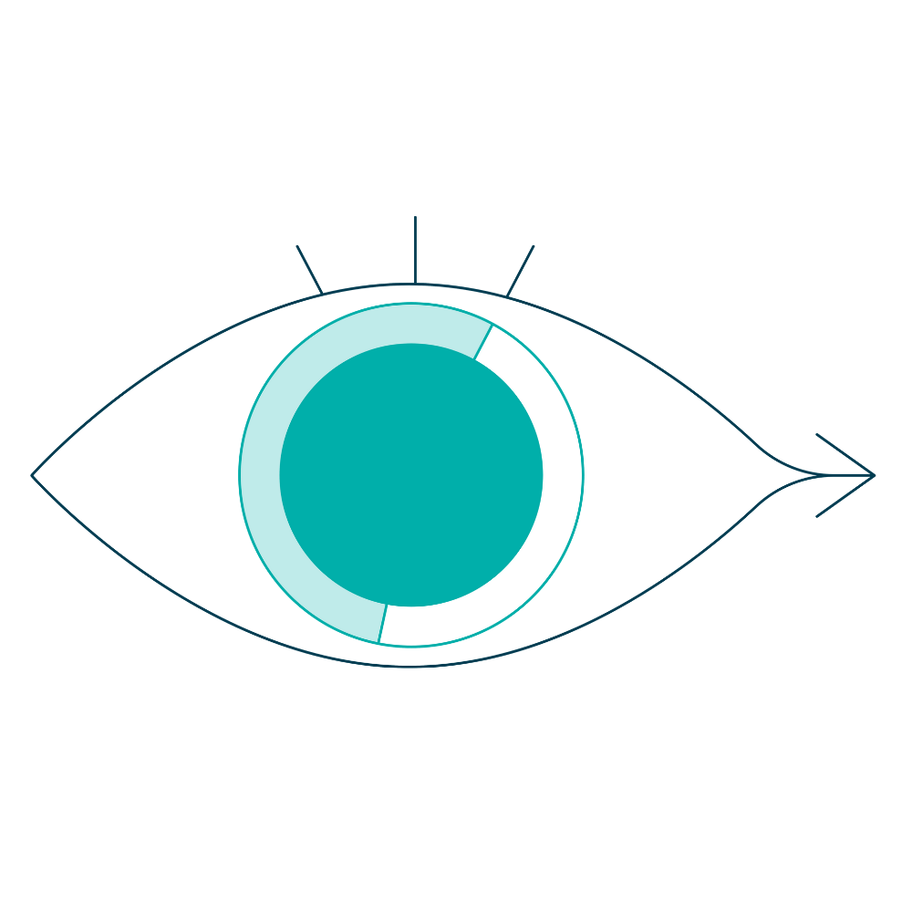 Eye icon